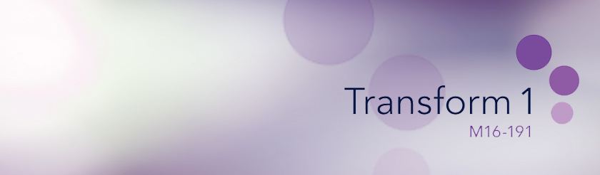 Transform-1