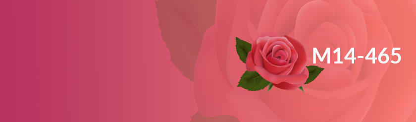Study-Cover-Image-M14-465